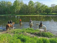 Planning des sorties